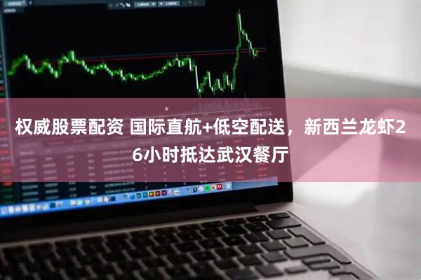 权威股票配资 国际直航+低空配送，新西兰龙虾26小时抵达武汉餐厅